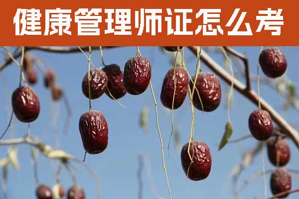 南平健康管理师证怎么考多少钱