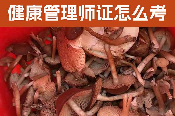 吉安健康管理师证怎么考取？费用要多少？