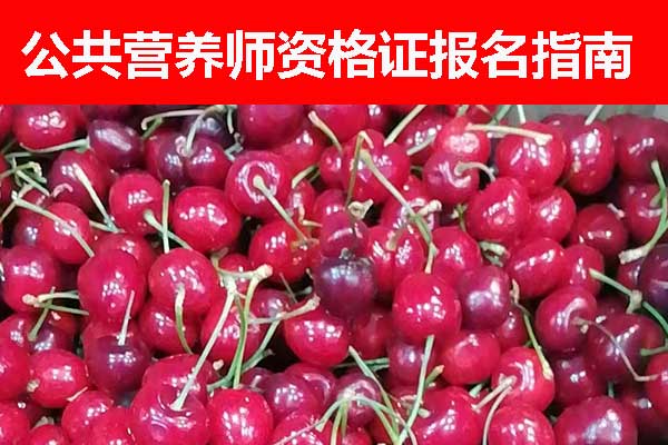 河南公共营养师资格证报名时间 - 报名条件 - 报名入口