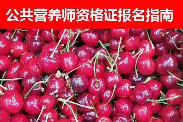 湖南公共营养师资格证报名时间 - 报名条件 - 报名入口