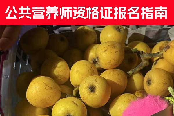 南昌公共营养师资格证报名时间 - 报名条件 - 报名入口