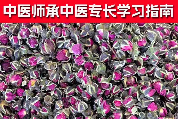 现在师承中医太难了，时间也长