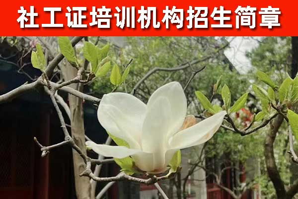 朔州社工证培训报考咨询机构哪家正规