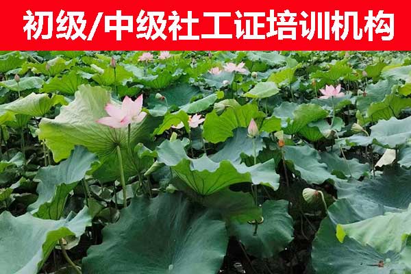 未标题-1-恢复的-恢复的.jpg