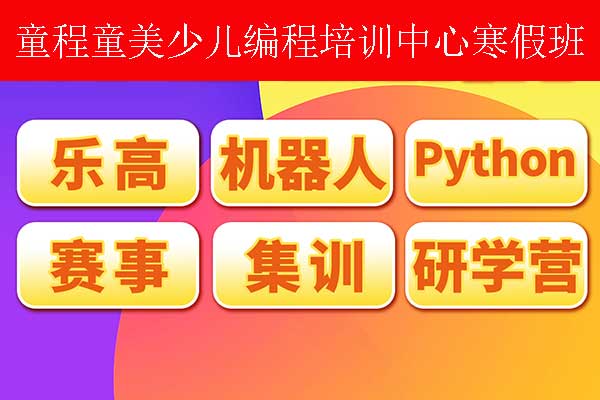 成都少儿软件编程培训寒假班报名中