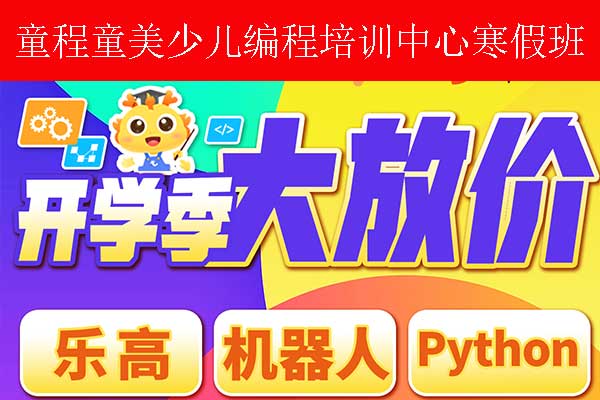 合肥少儿编程寒假班报名中