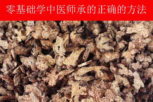 广州中医师承拜师收费价格表