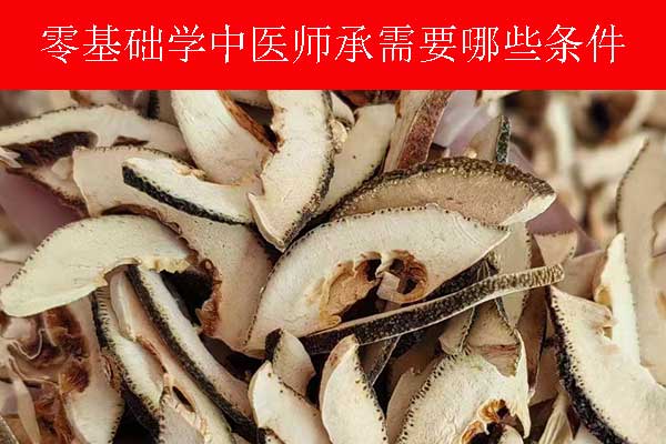 河南中医师承培训班正规机构哪家好