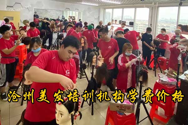 沧州港泰美容美发学校地址在哪里