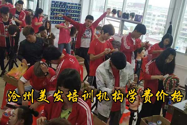 沧州港泰美业商学院有哪些专业