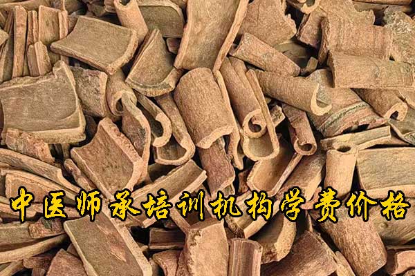 石家庄中医师承培训班费用及报名条件