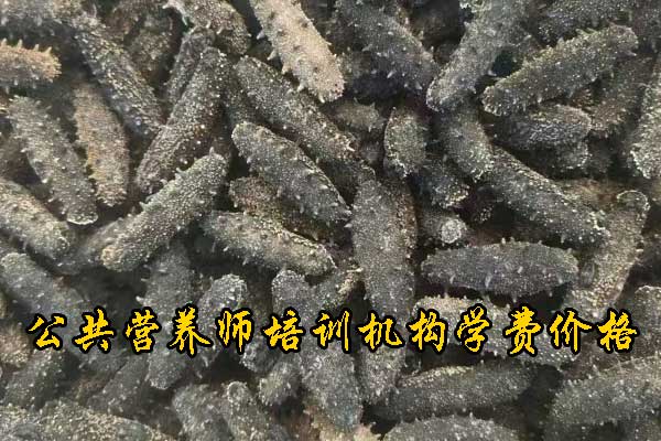 未标题-1.jpg