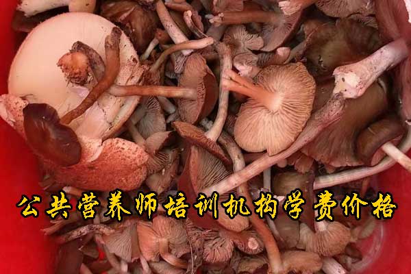 未标题-1.jpg