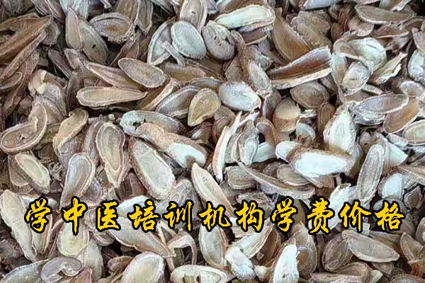 宁波中医师承培训班费用及报名条件