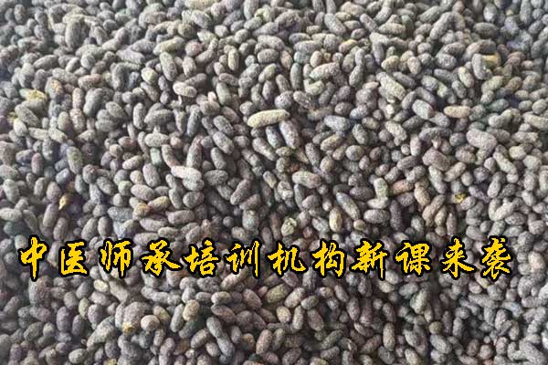 厦门中医师承培训班费用及报名条件