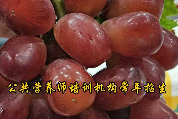 天津营养师培训机构哪个好 - 培训费用