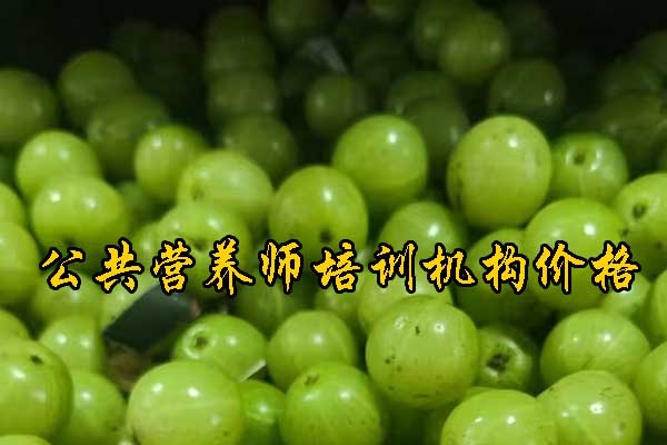 吕梁营养师培训班报名费多少钱