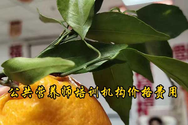 沈阳公共营养师培训机构费用一共多少钱