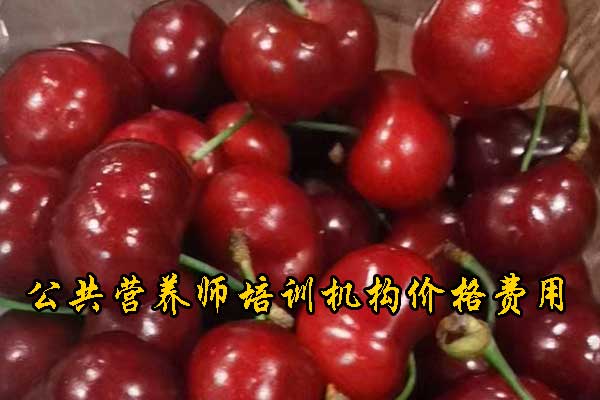 大连营养师培训机构排名 - 学费多少钱