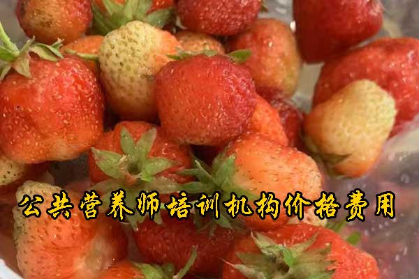 锦州营养师培训机构哪个好 - 培训费用