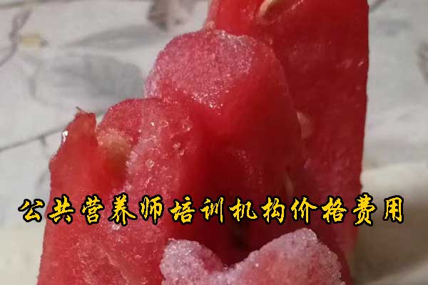 盘锦公共营养师培训多少钱