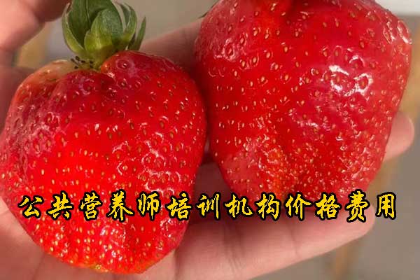 鞍山注册营养师培训多少钱