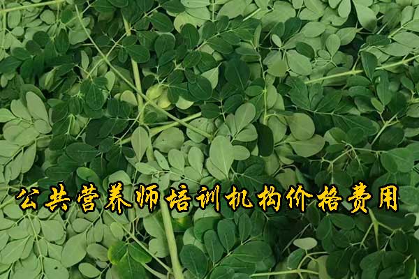 青岛注册营养师培训多少钱