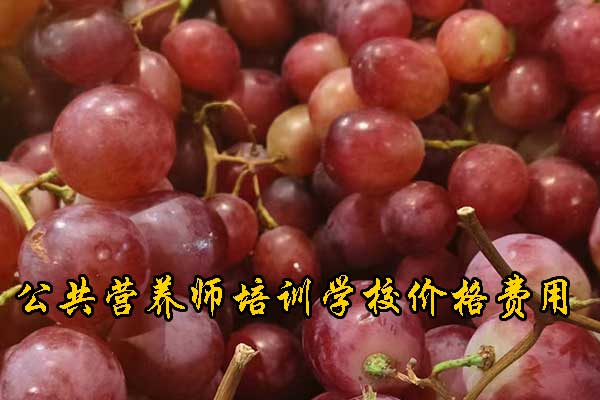 绍兴注册营养师培训多少钱