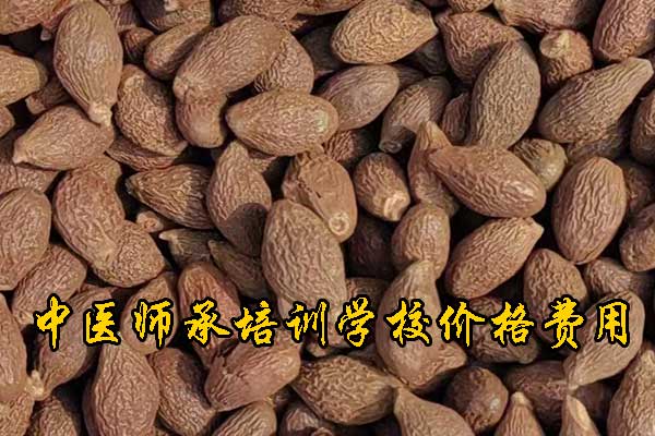 未标题-1-恢复的.jpg