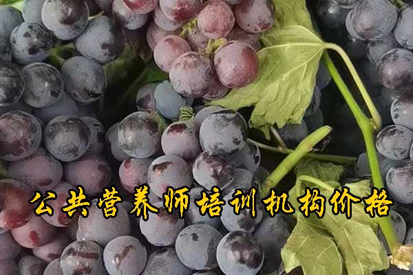 三明注册营养师培训多少钱