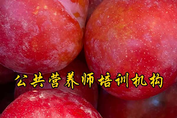 怀化注册营养师培训多少钱