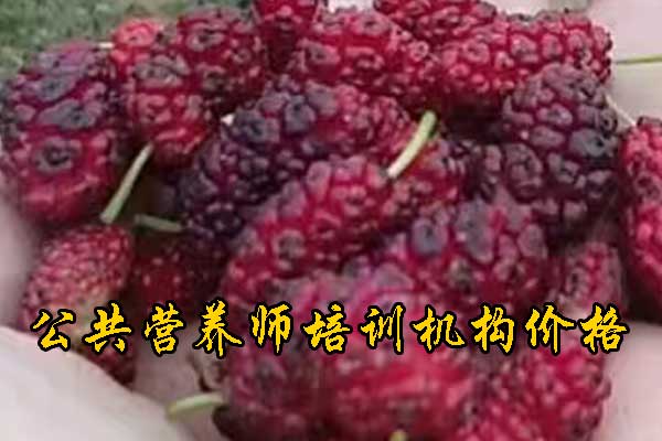 未标题-1.jpg