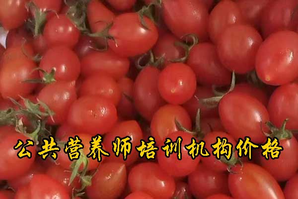 宜昌营养师培训班哪家好