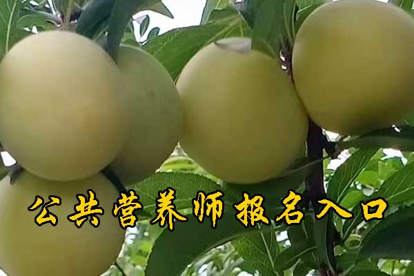 南充营养师培训班价目表费用一览