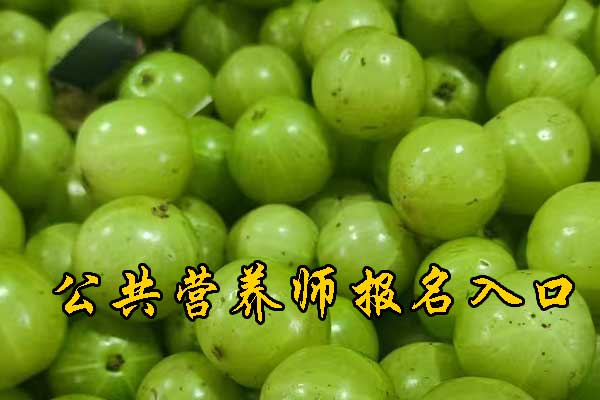 成都注册营养师培训多少钱