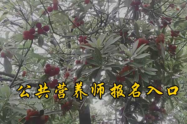 绵阳营养师培训班培训费用多少