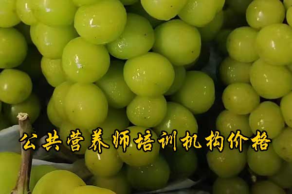 宝鸡注册营养师培训多少钱