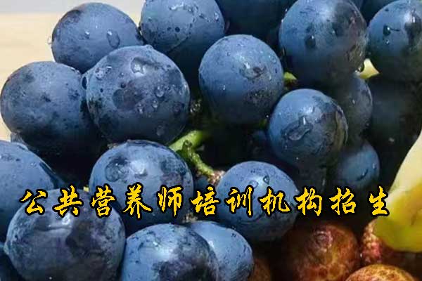 张掖注册营养师培训多少钱