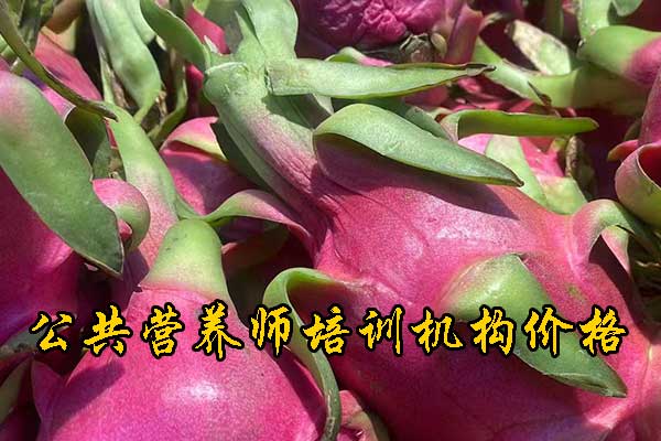 乌鲁木齐营养师培训班报名费多少钱