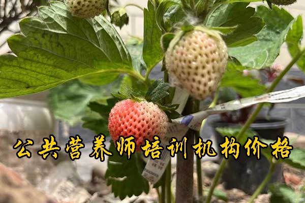 未标题-1.jpg