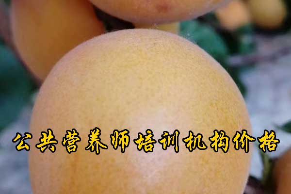 未标题-1.jpg