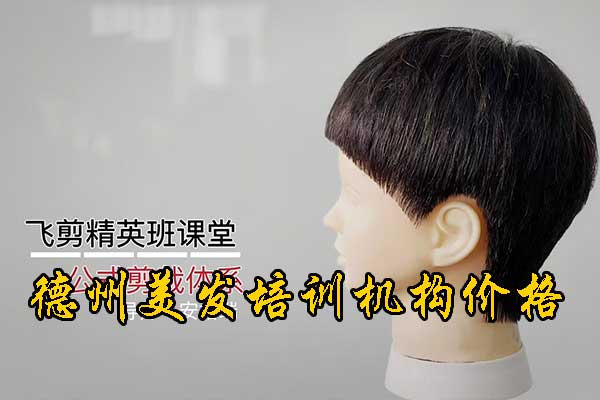 德州学美发多久能学会