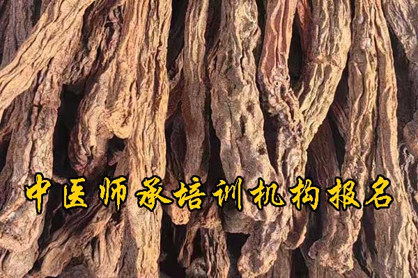 未标题-1.jpg