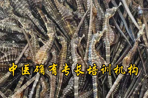 云南中医确有专长培训机构哪家正规 - 费用多少