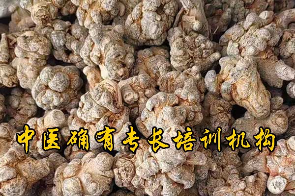 四川中医确有专长培训机构哪家正规 - 费用多少