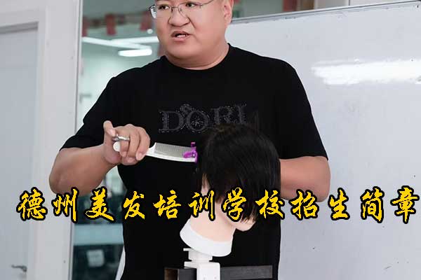 德州飞剪美发学校地址在哪里？