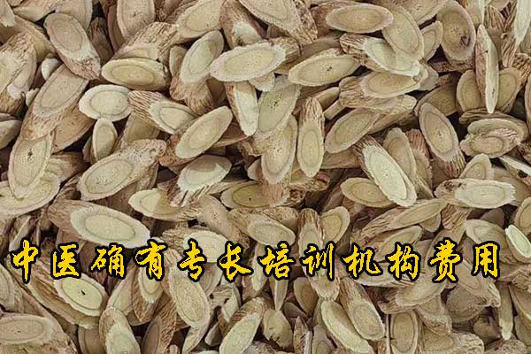 陕西中医确有专长培训机构哪家正规 - 费用多少