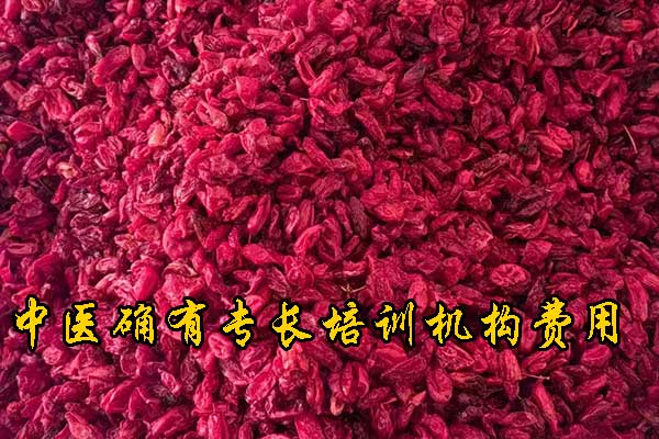 宁夏中医确有专长培训机构哪家正规 - 费用多少