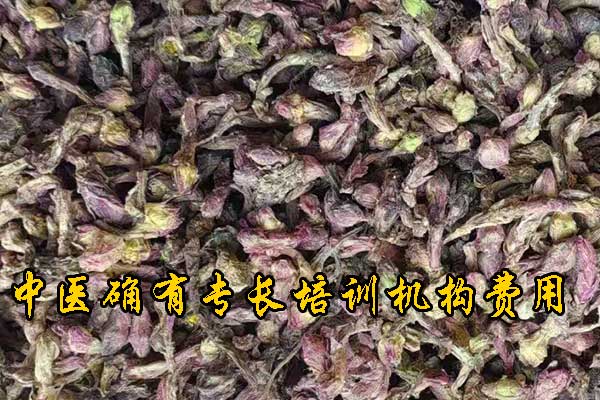 甘肃中医确有专长培训机构哪家正规 - 费用多少