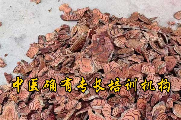 广东中医确有专长培训机构哪家正规 - 费用多少